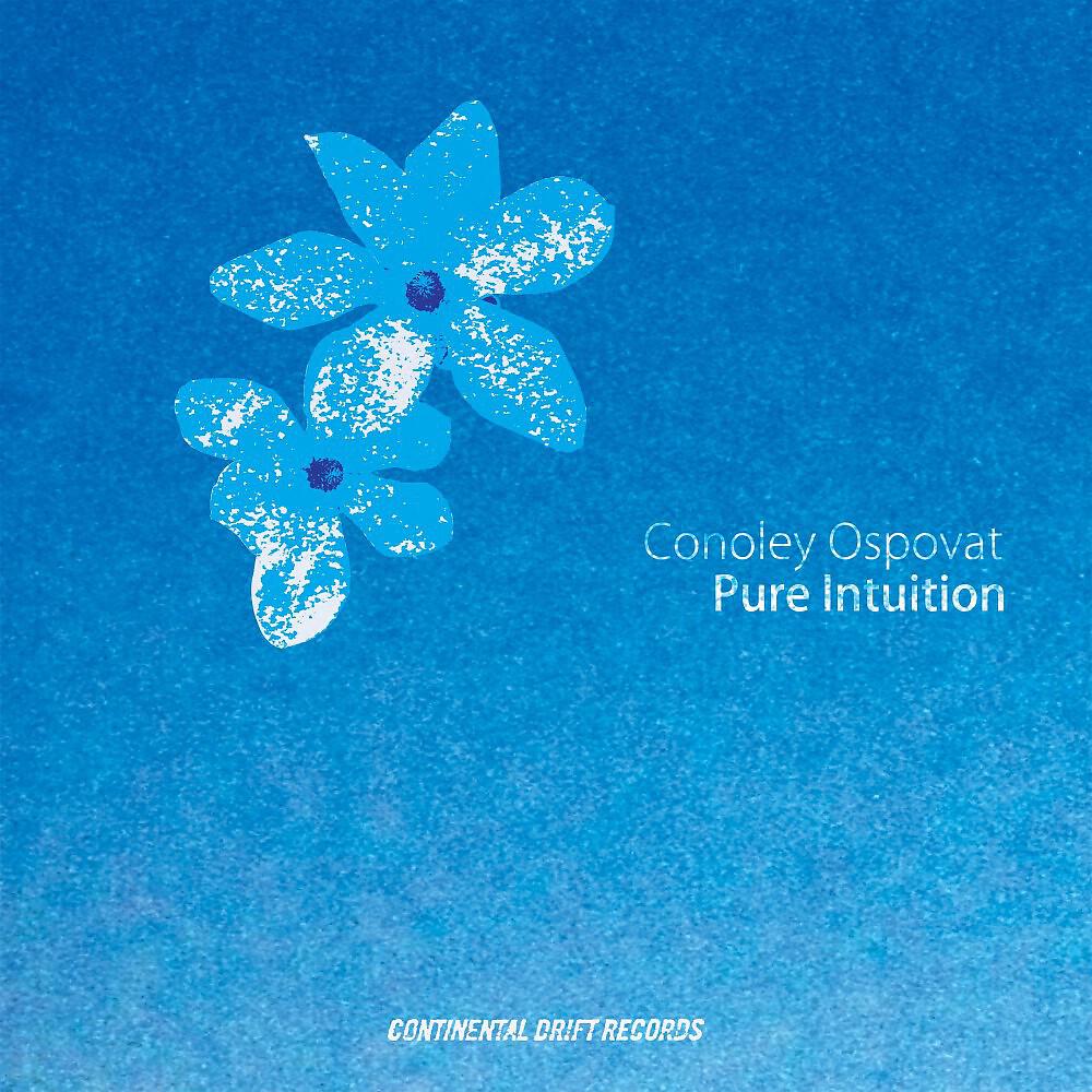 Релиз Pure Intuition