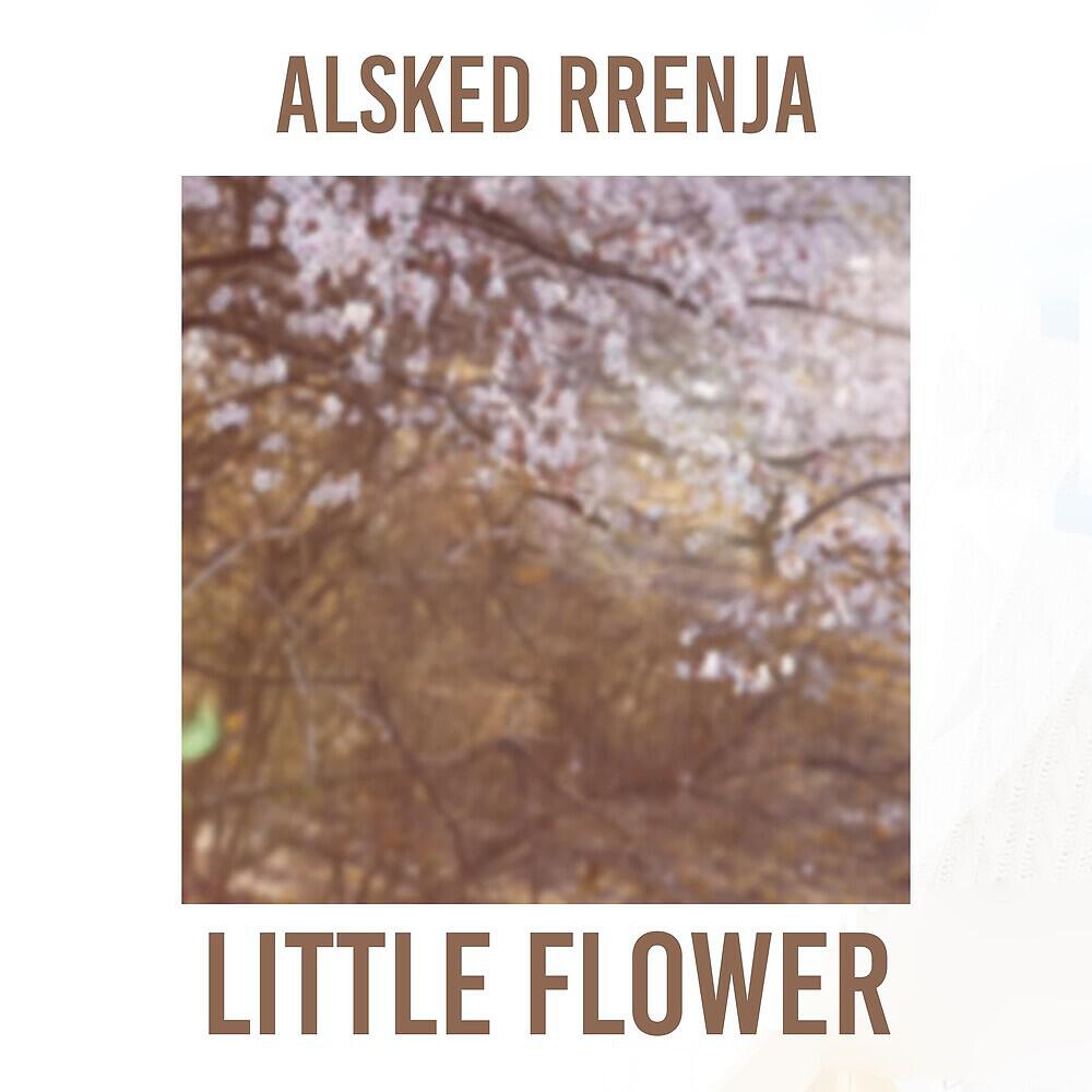 Релиз Little Flower