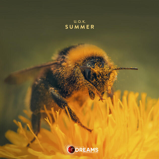 Релиз Summer