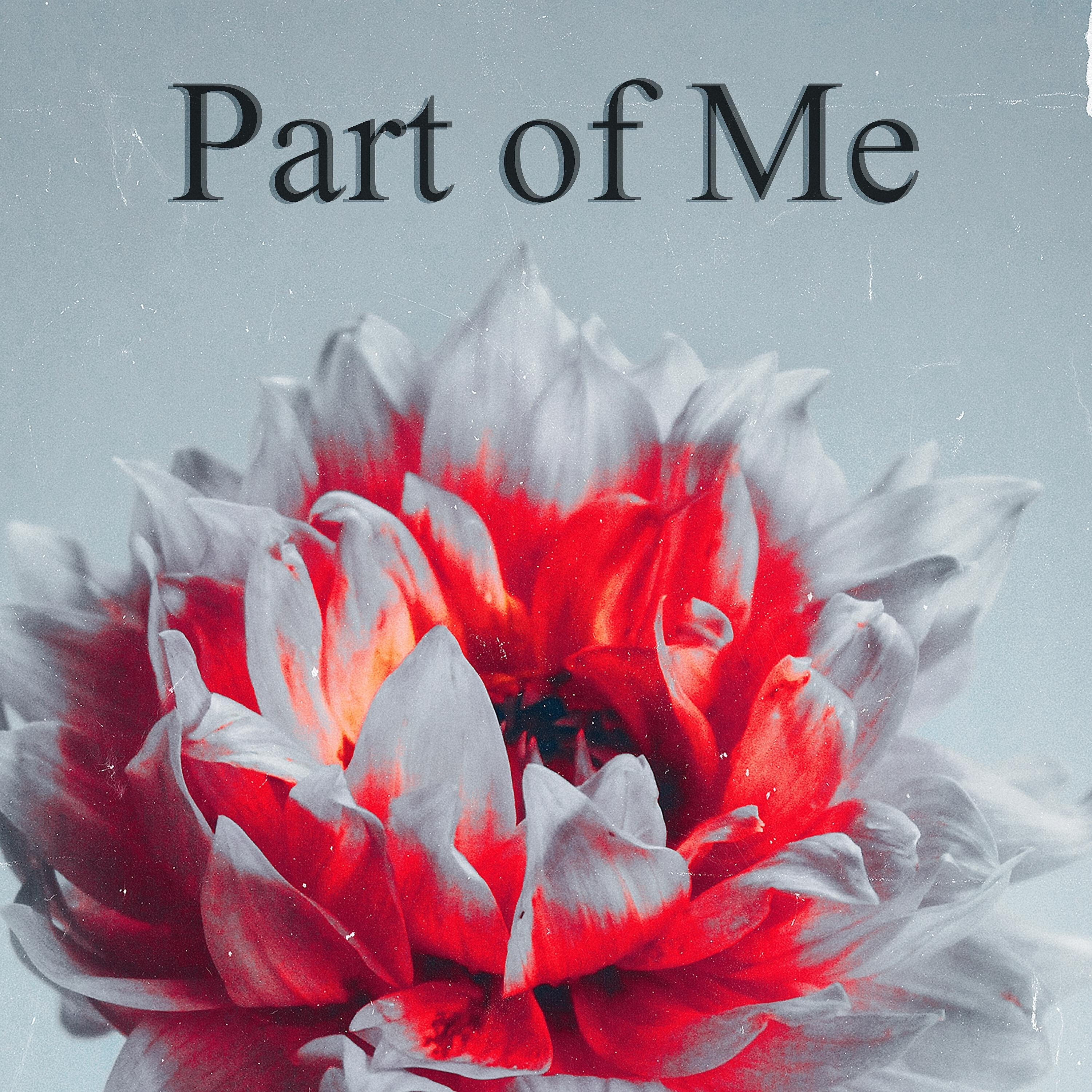 Релиз Part of Me