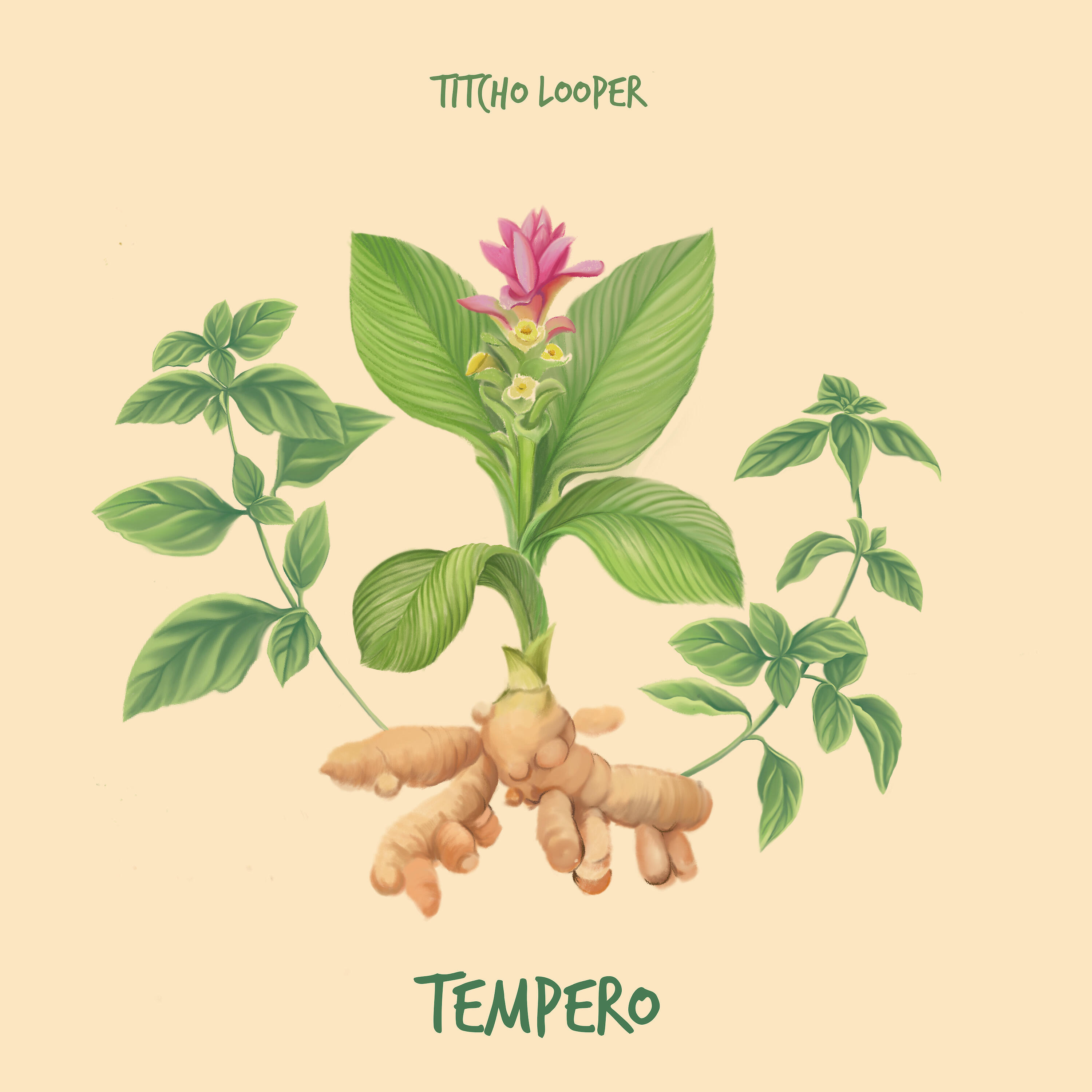 Релиз Tempero