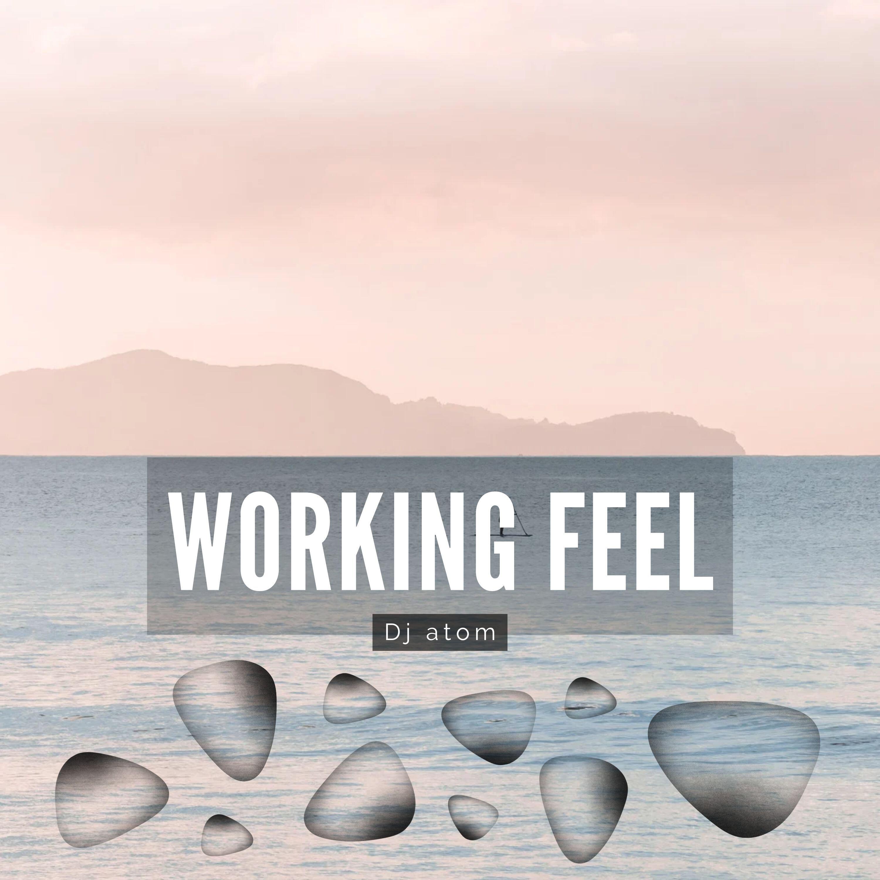 Релиз Working Feel