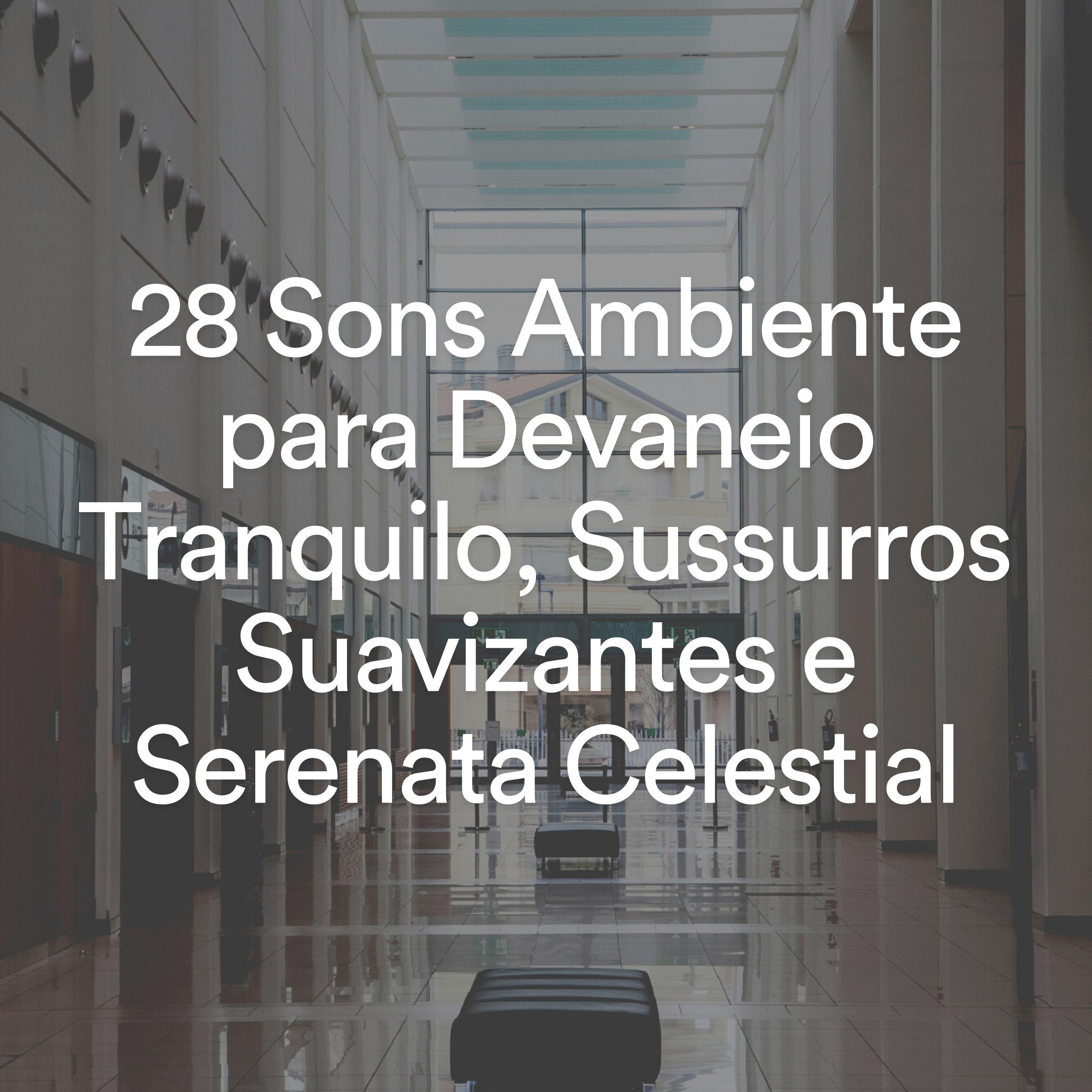 Релиз 28 Sons Ambiente para Devaneio Tranquilo, Sussurros Suavizantes e Serenata Celestial