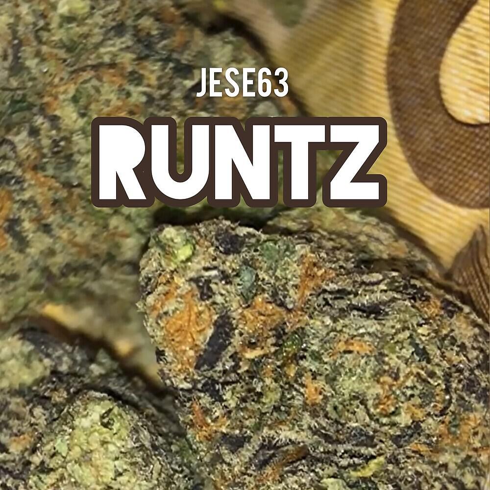Релиз Runtz