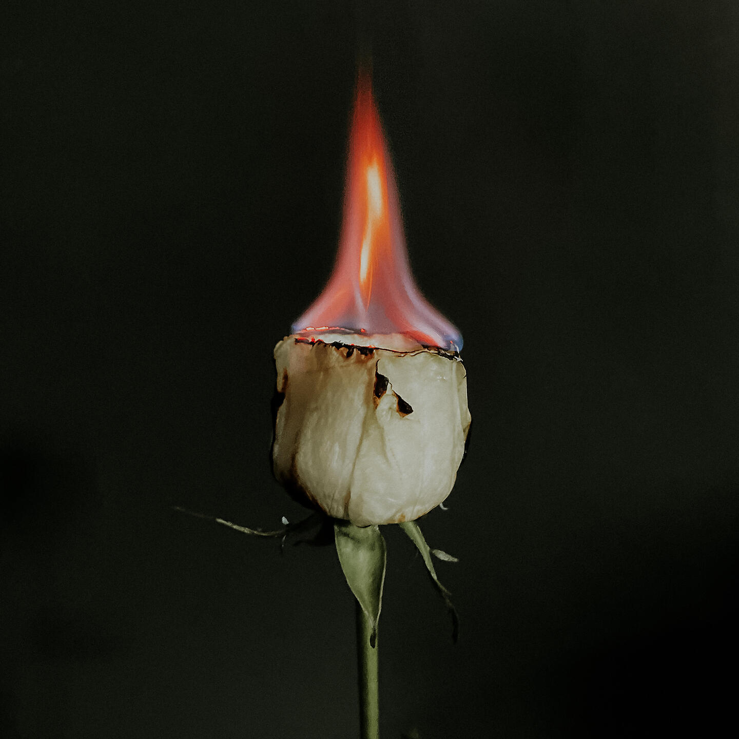 Релиз How to forget you?