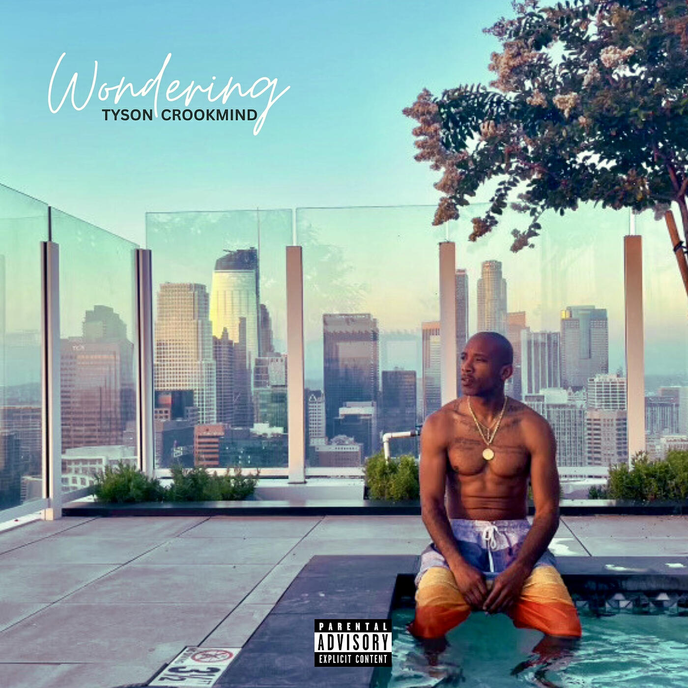Релиз Wondering