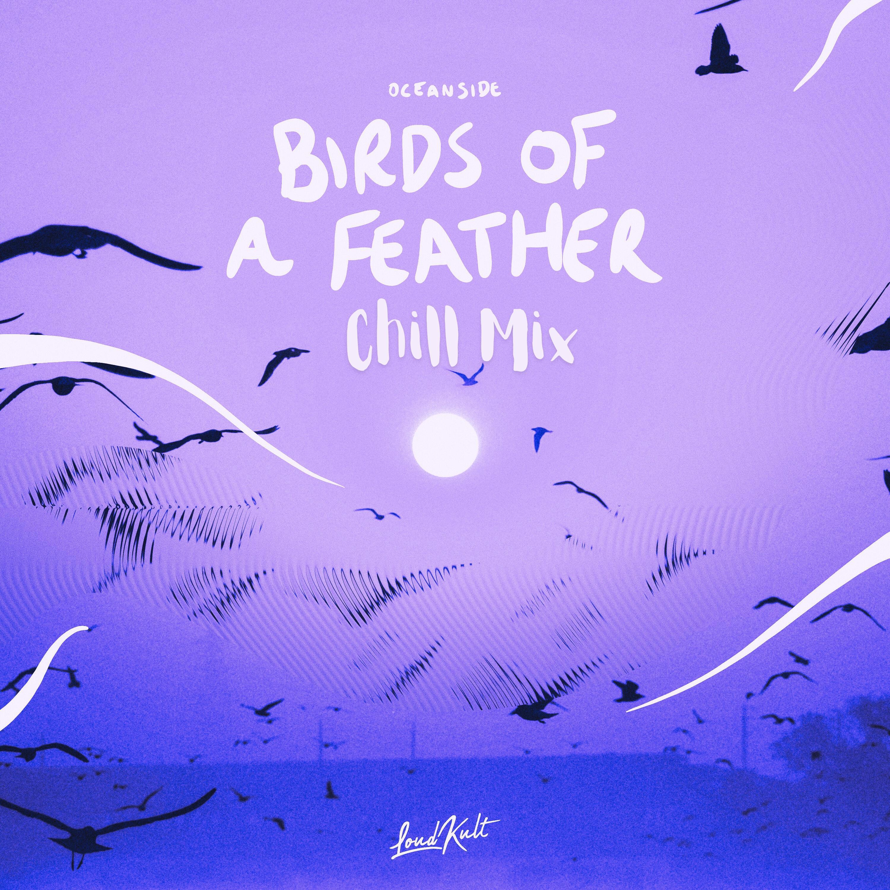 Релиз BIRDS OF A FEATHER (Chill Mix)