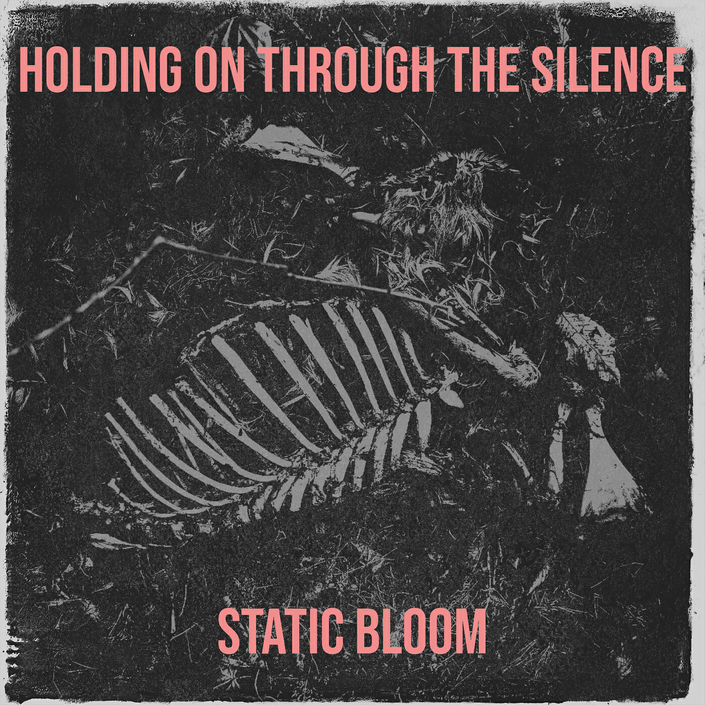 Релиз Holding on Through the Silence