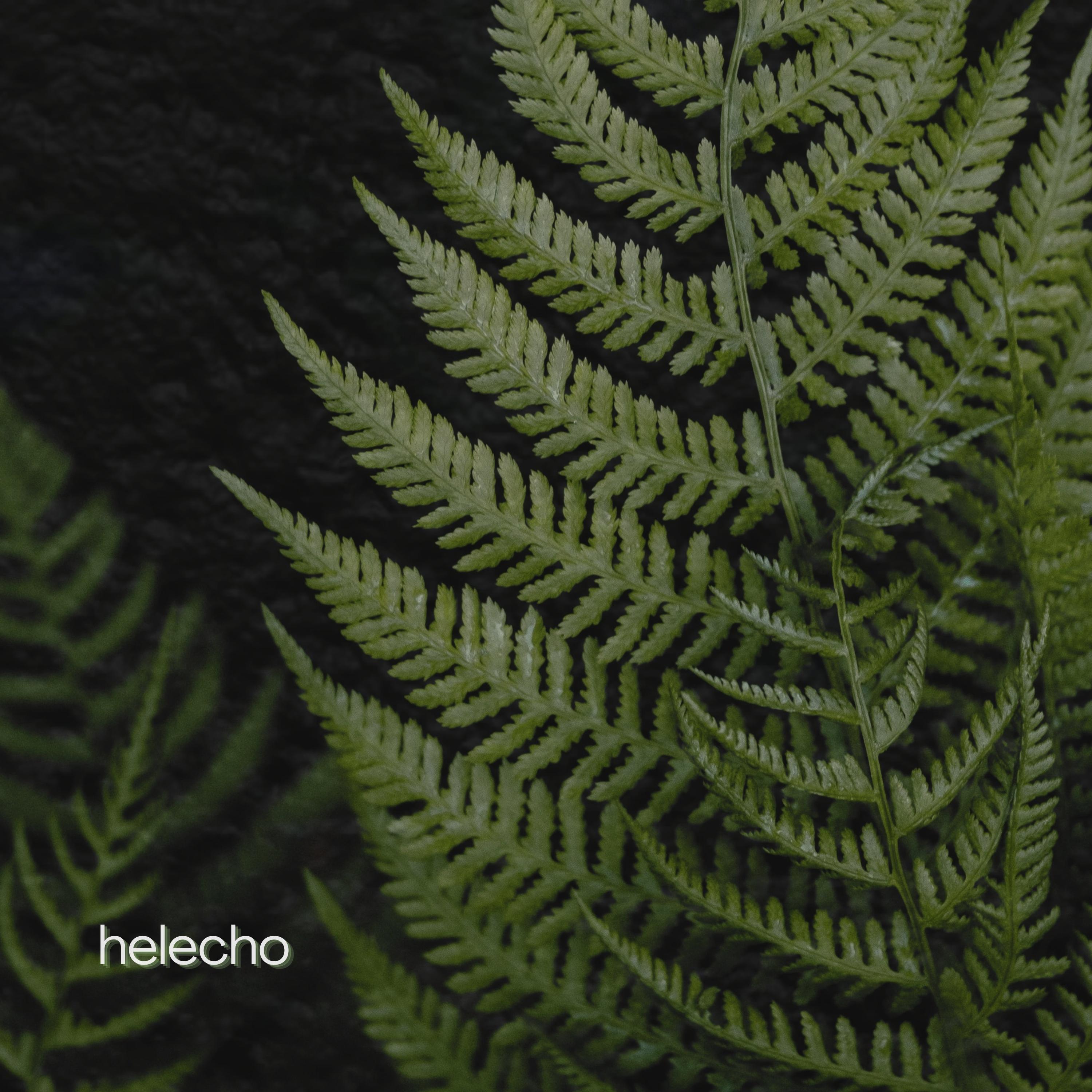 Релиз Helecho