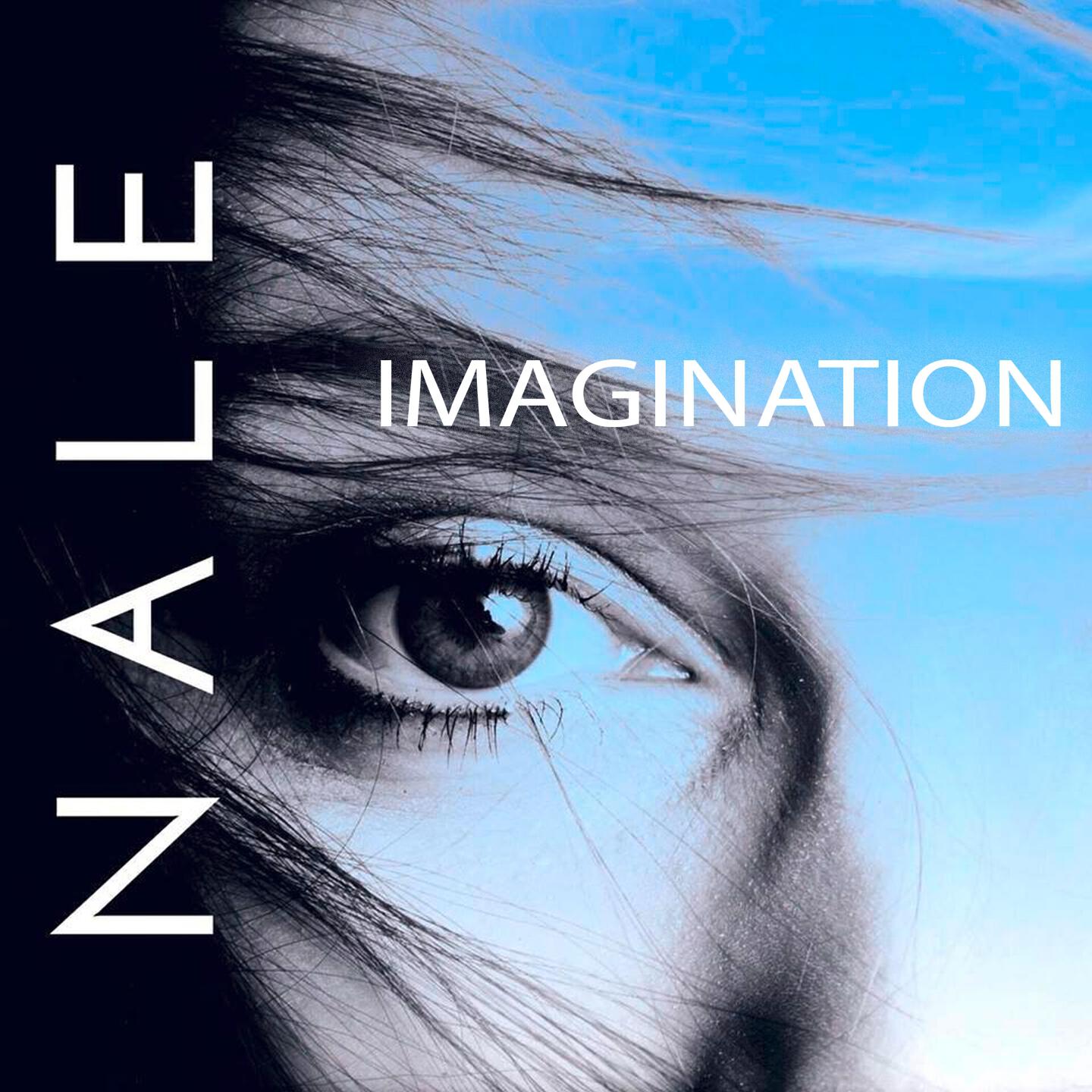 Постер альбома Imagination