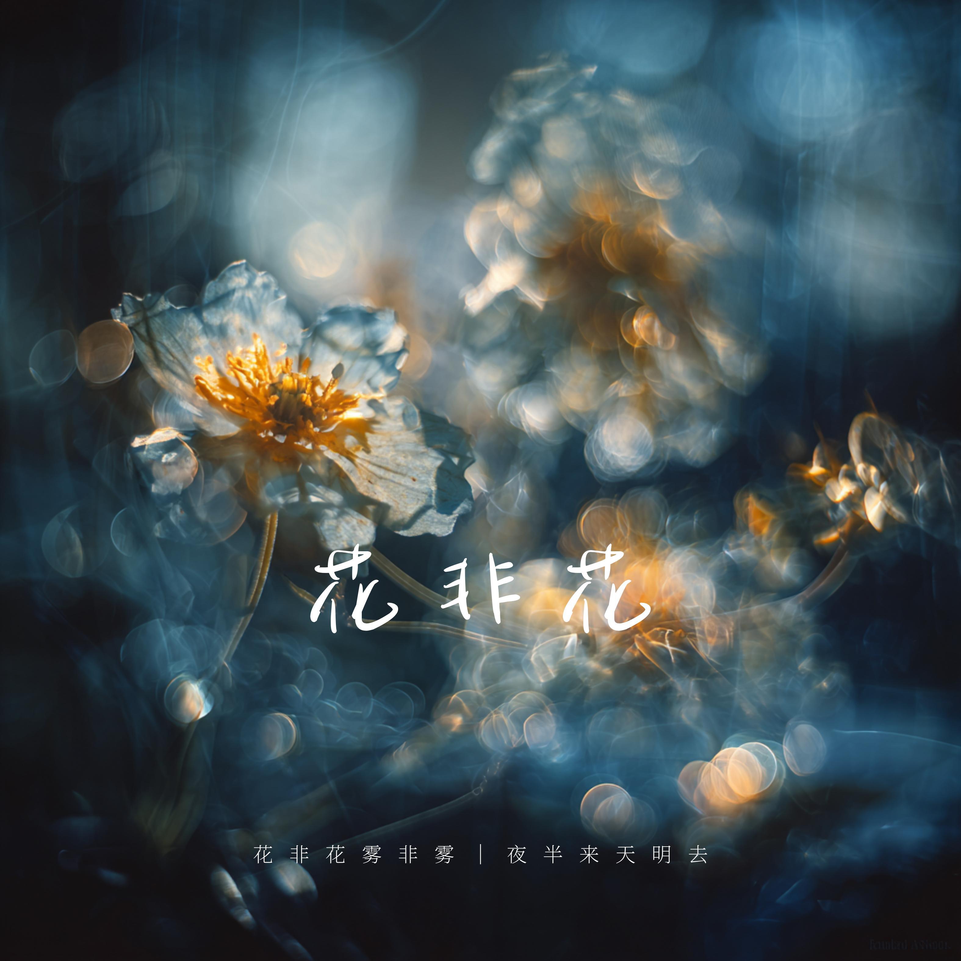 Релиз 花非花