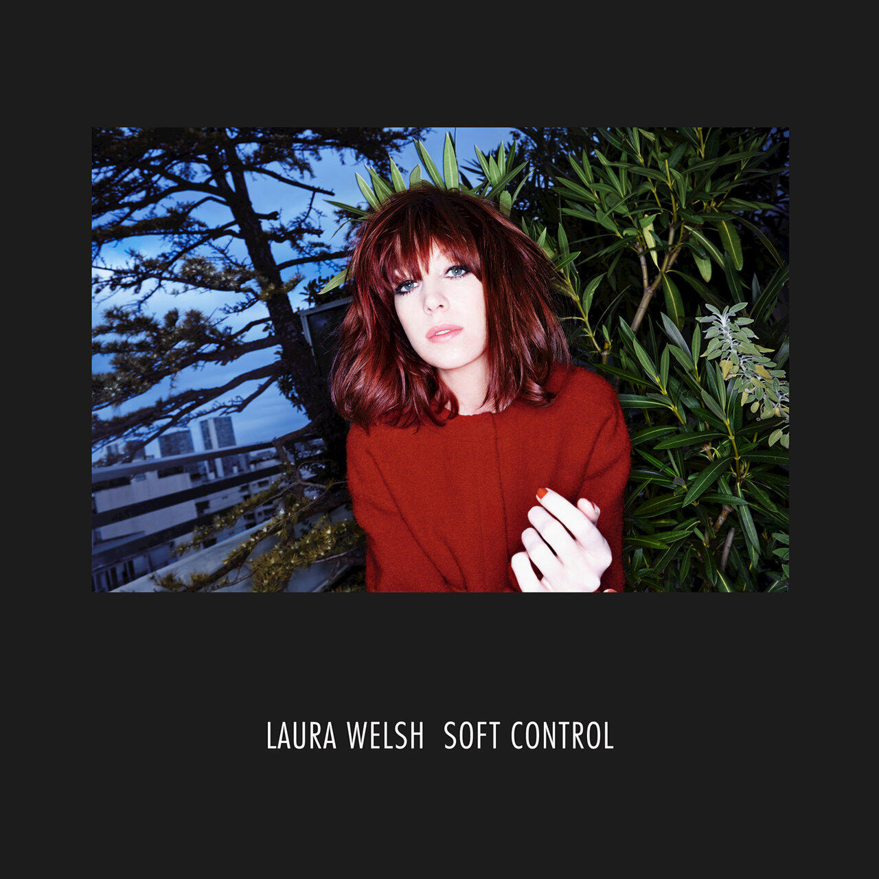 Релиз Soft Control
