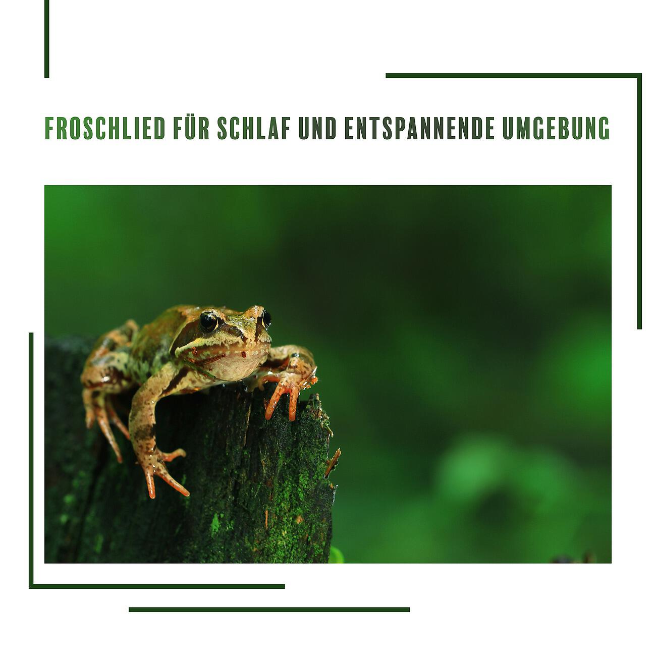 Релиз Froschlied für Schlaf und entspannende Umgebung