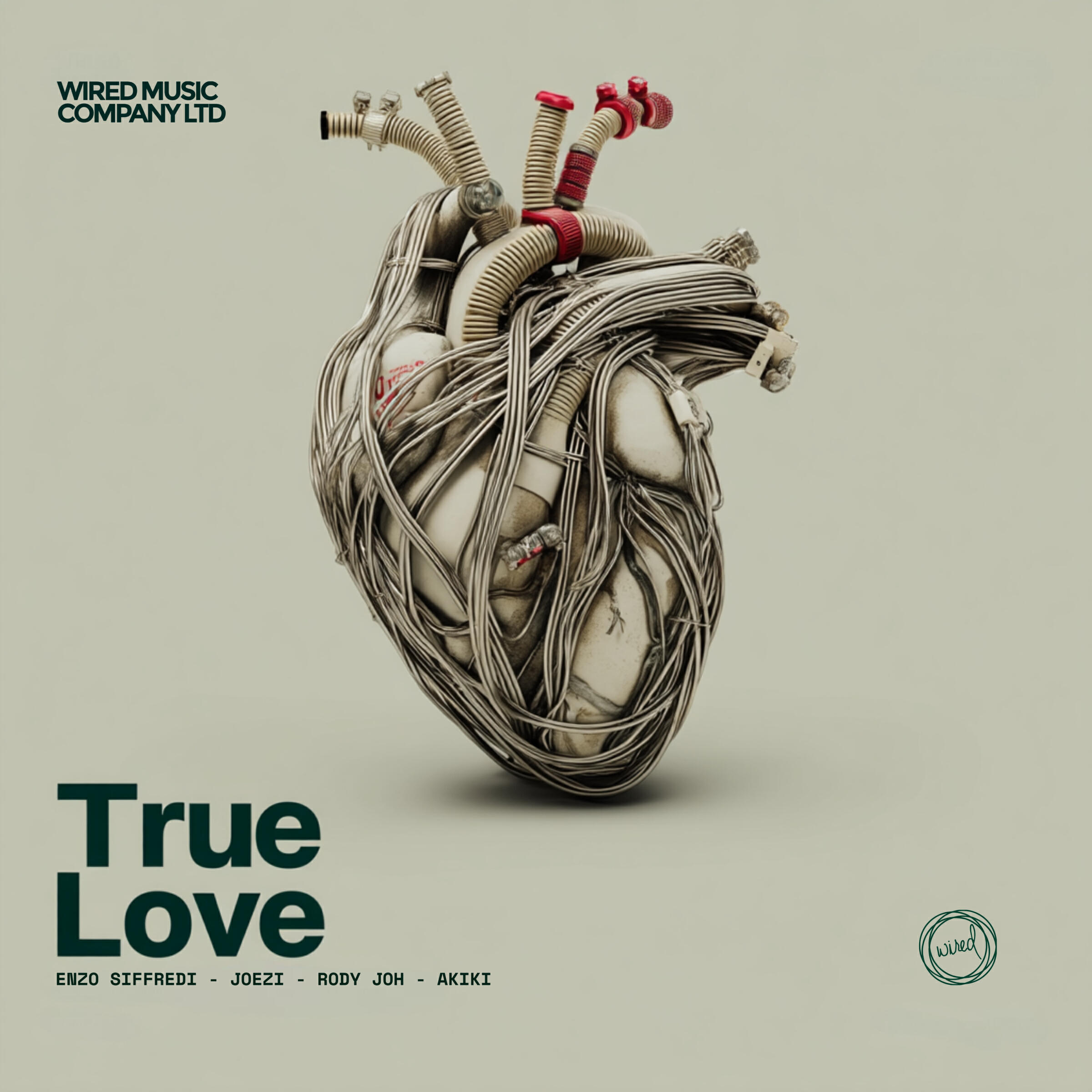 Релиз True Love