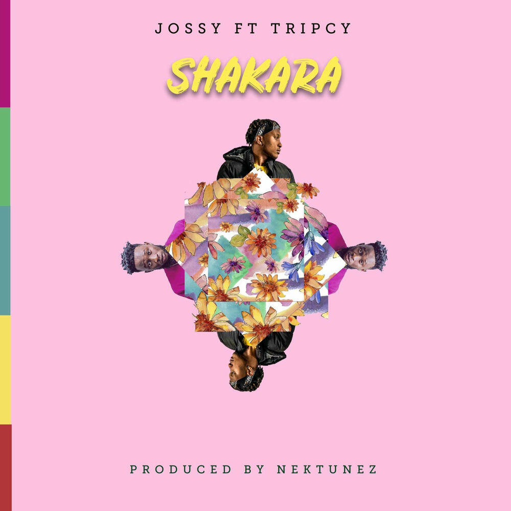 Релиз ShaKara