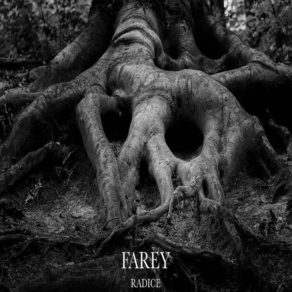 Релиз Radice