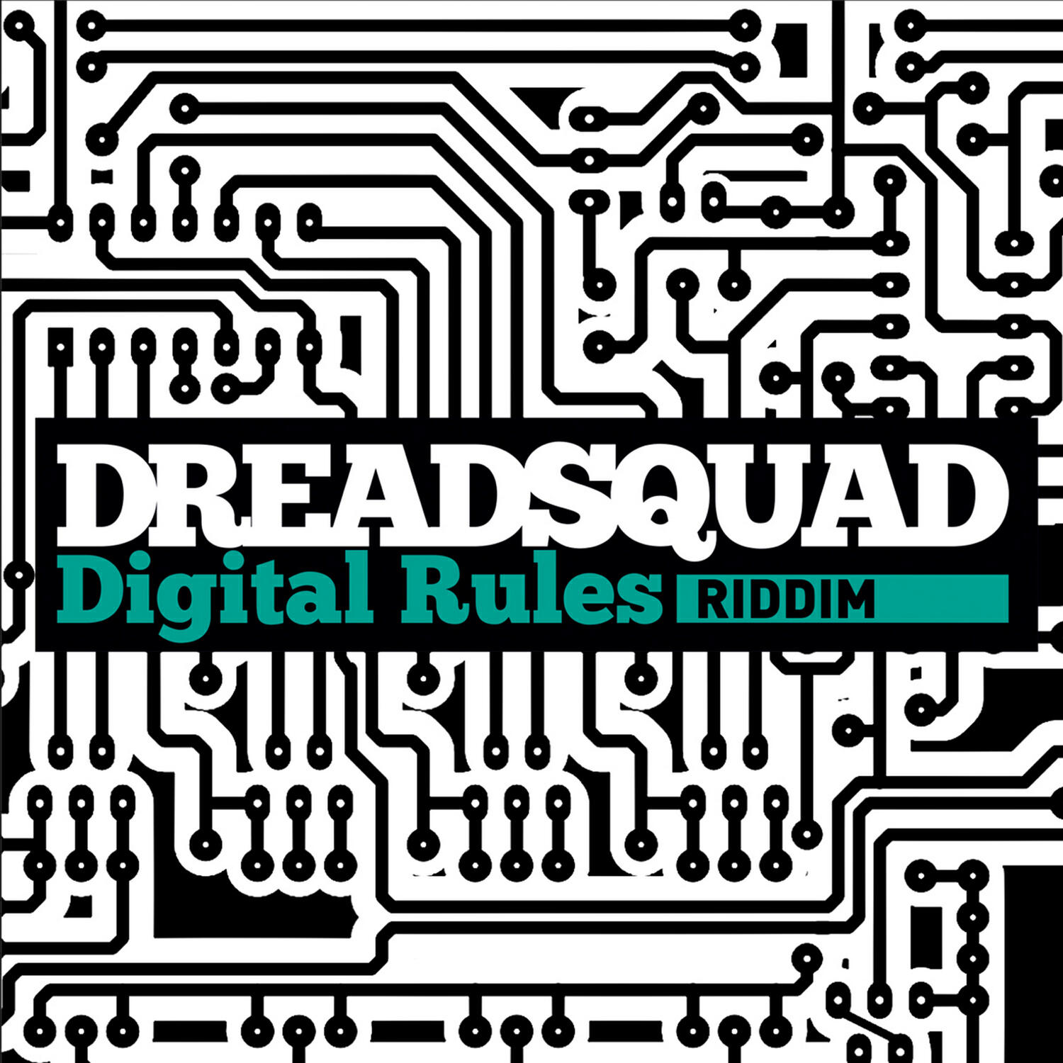 Релиз Digital Rules Riddim