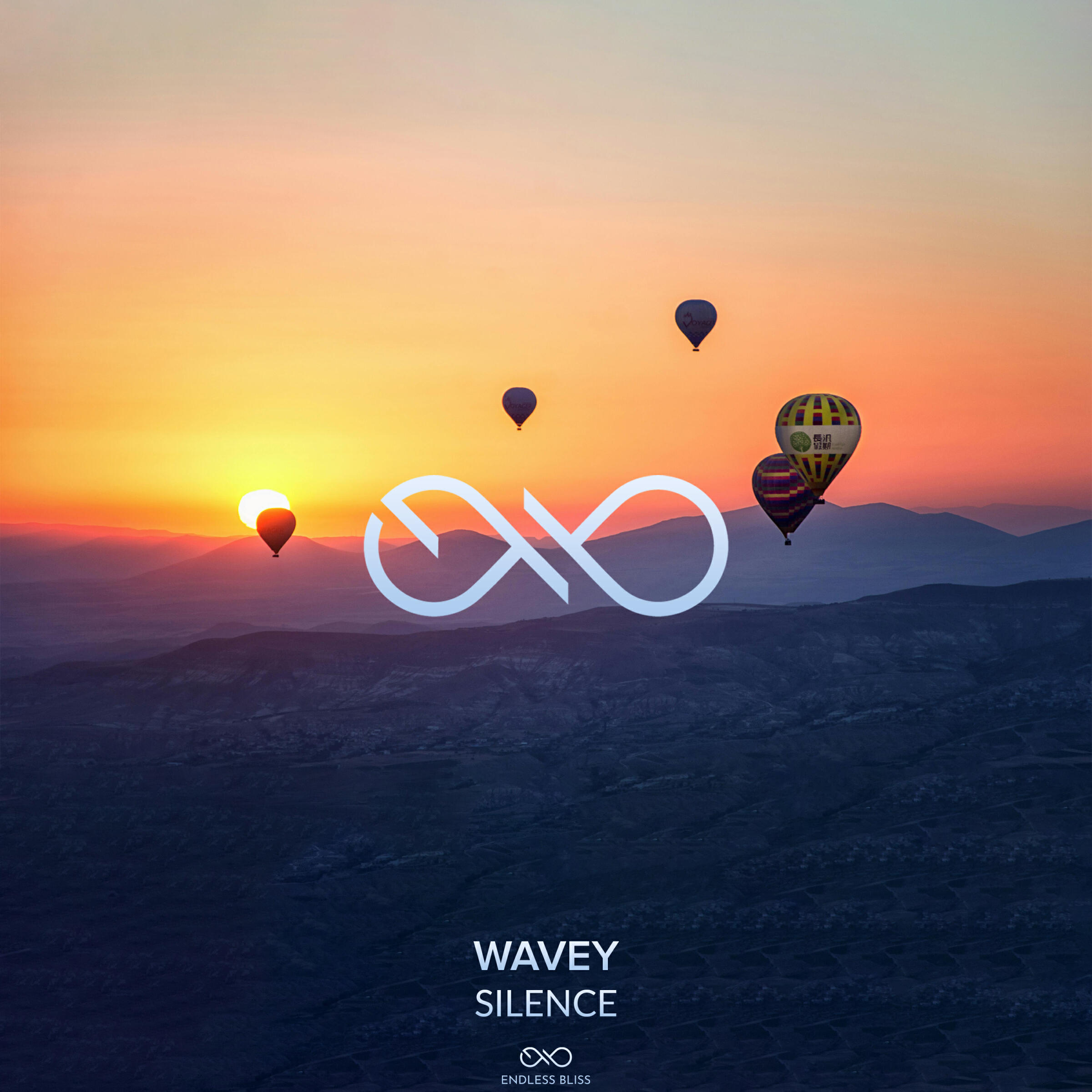 Релиз Silence