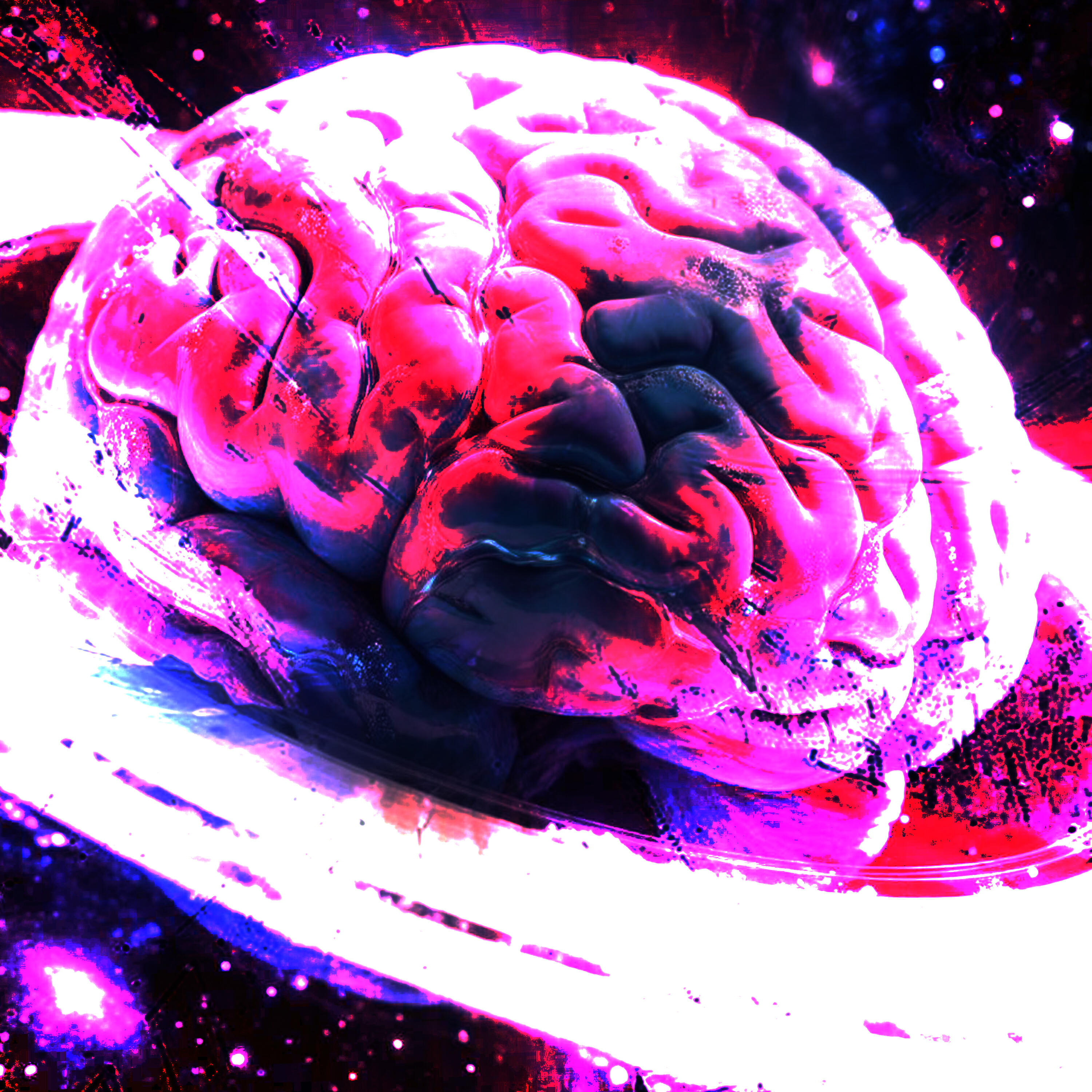 Релиз Seer Of Reality
