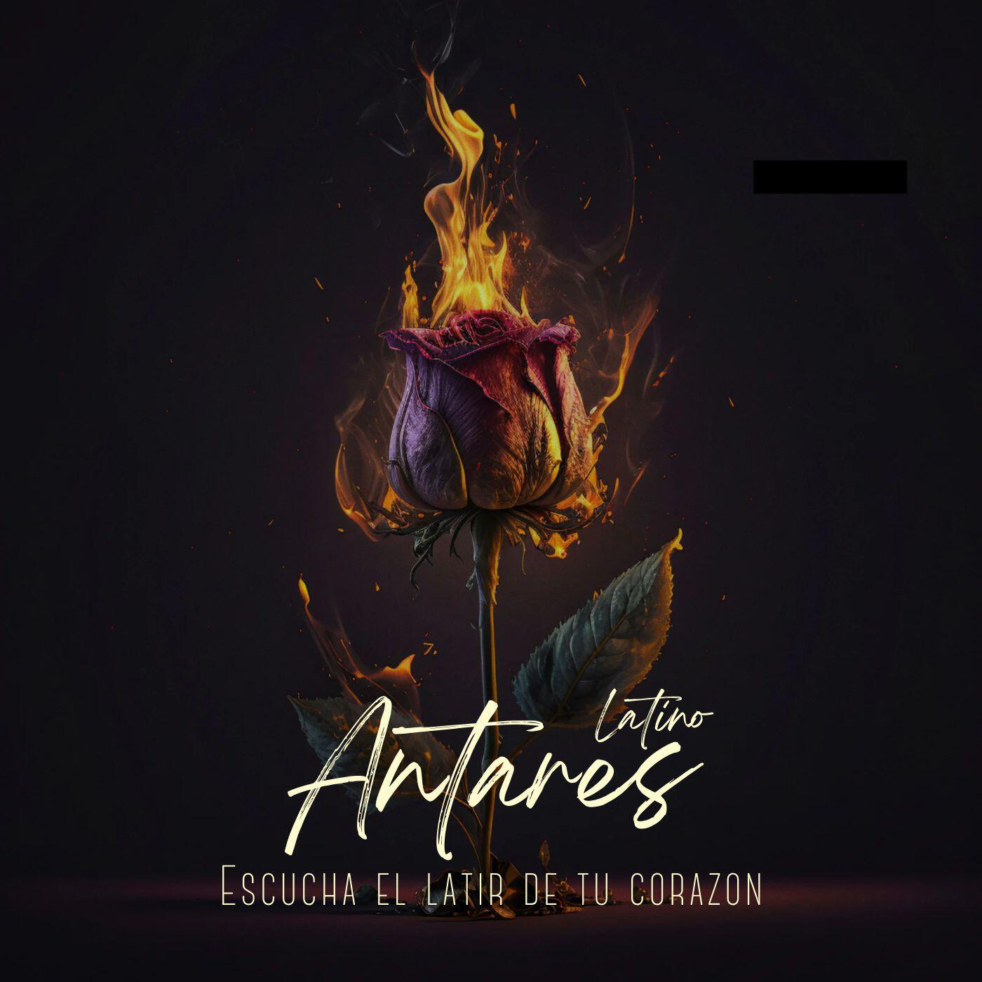 Релиз Escucha el latir de tu corazon