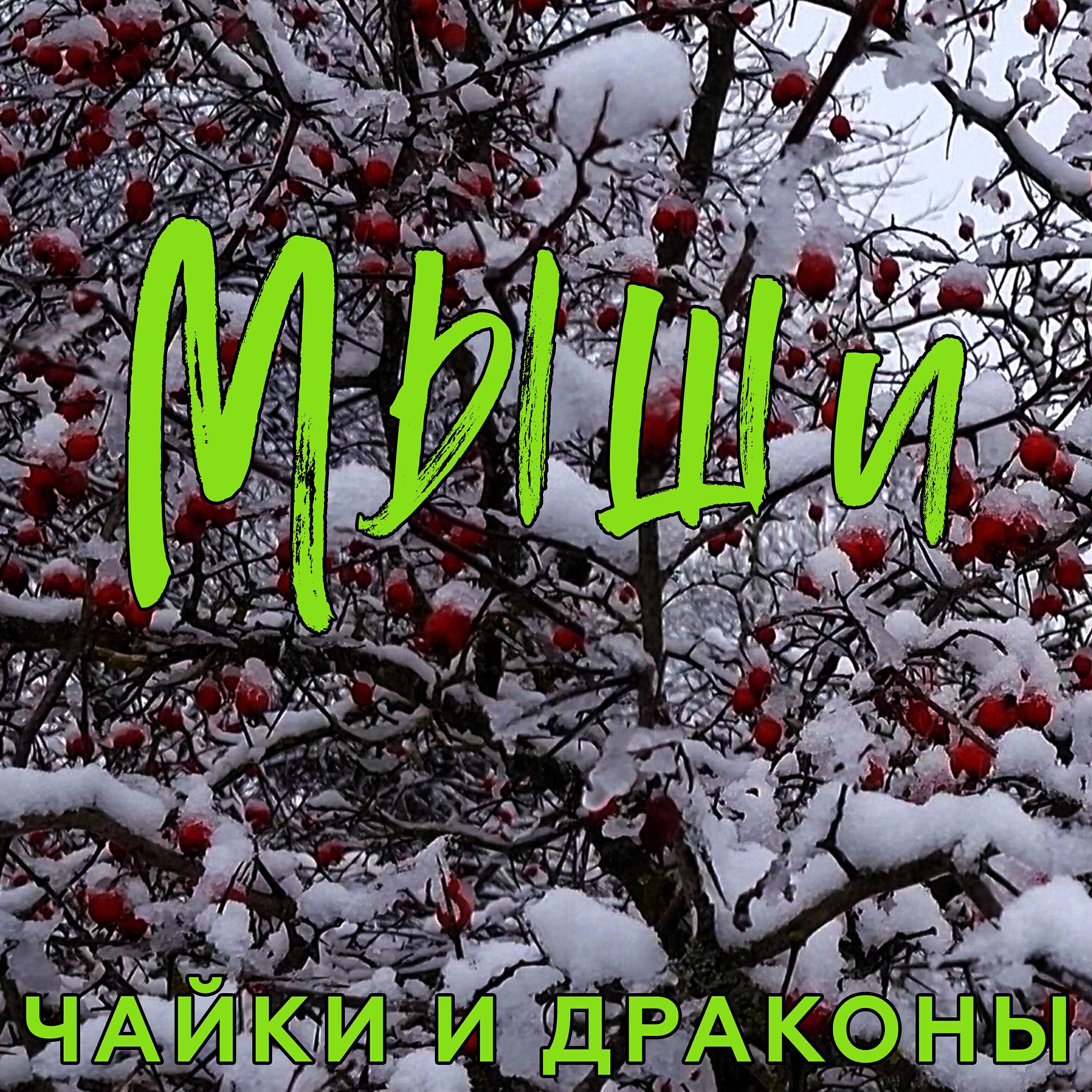 Релиз Мыши