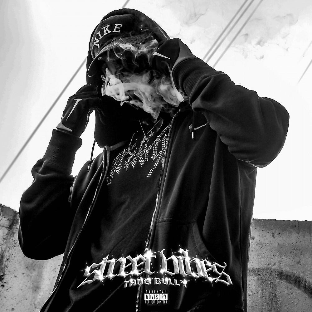 Релиз Steet Vibes