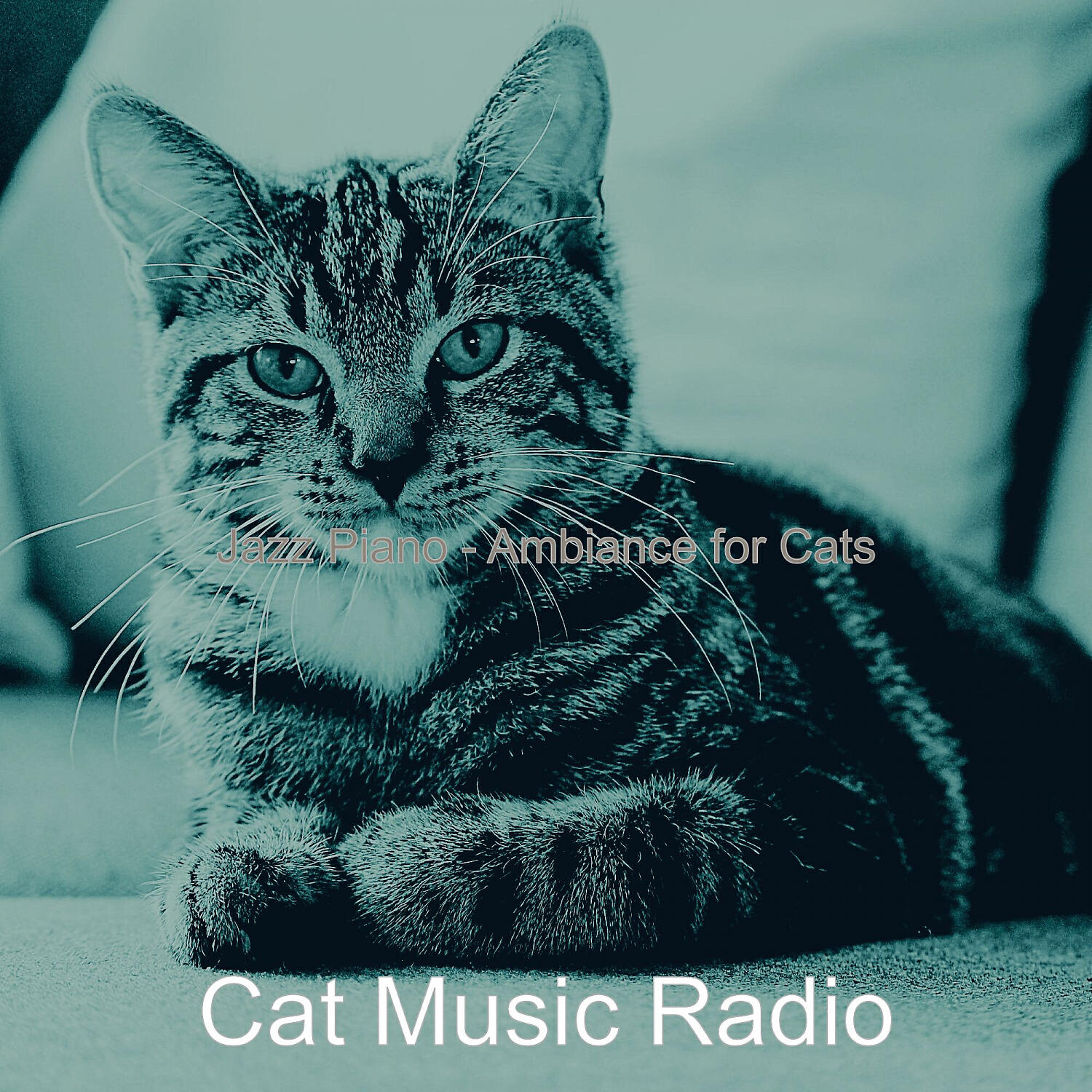 Cat Music Radio