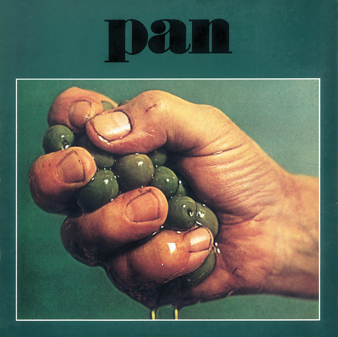 Релиз Pan