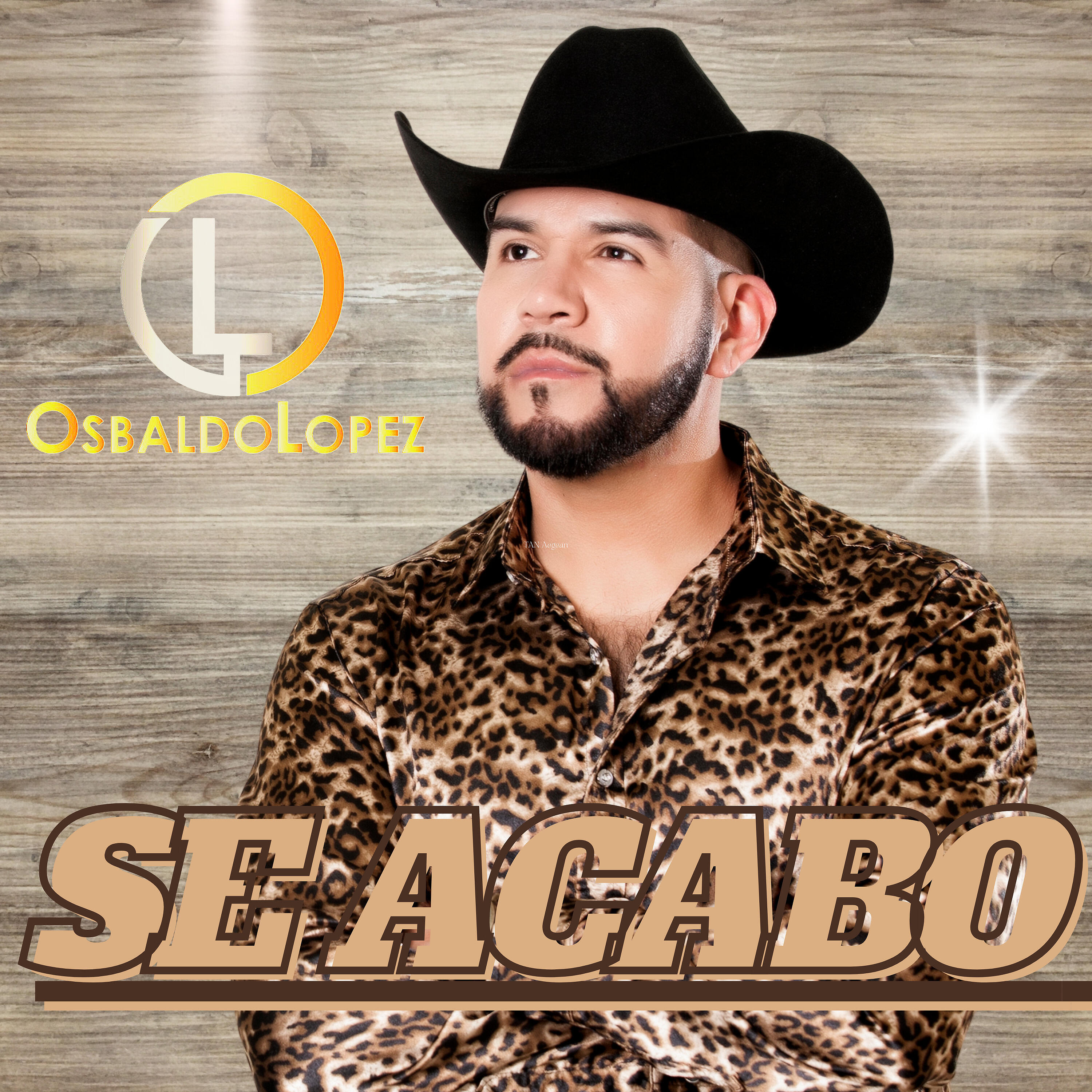 Релиз Se Acabó