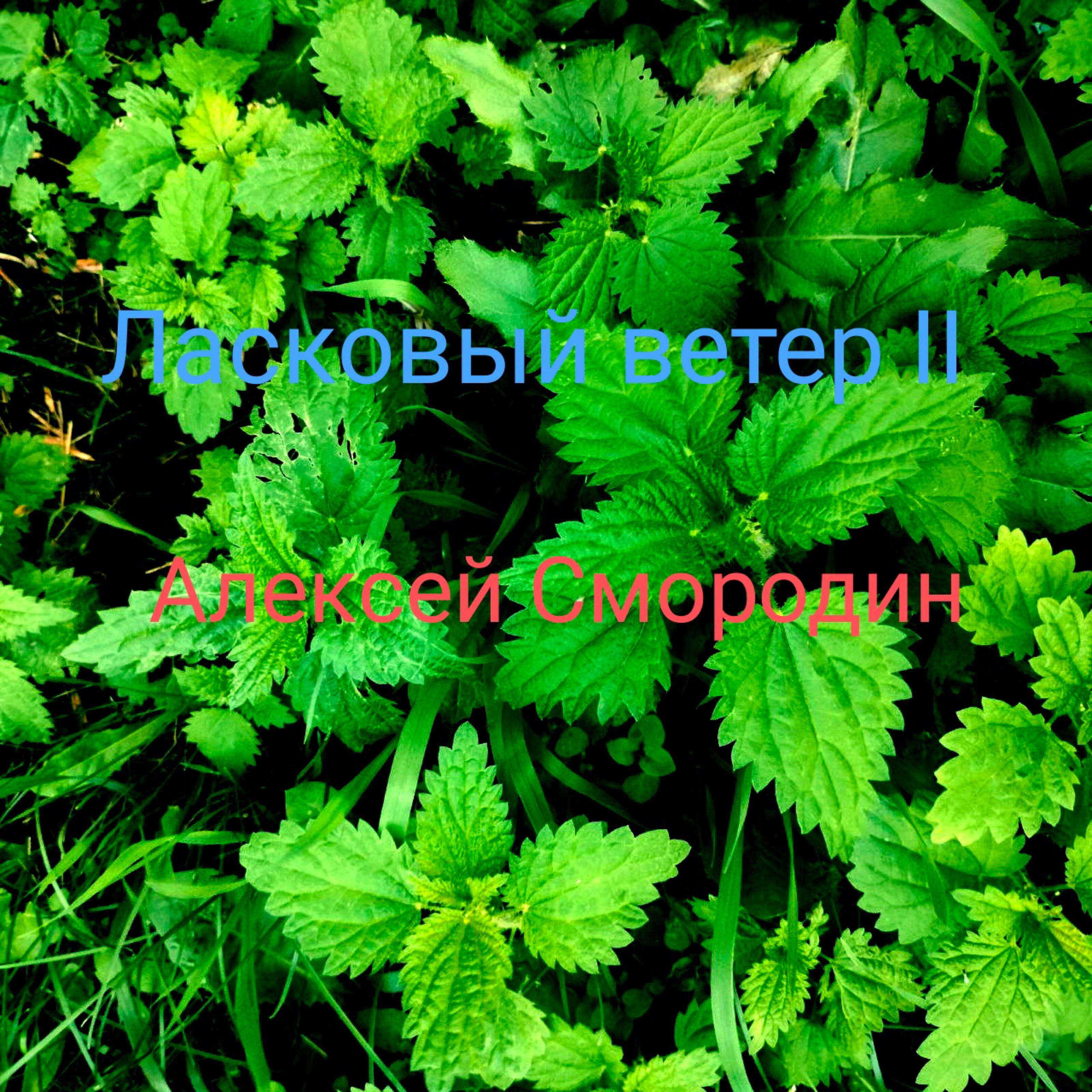 Релиз Ласковый ветер II
