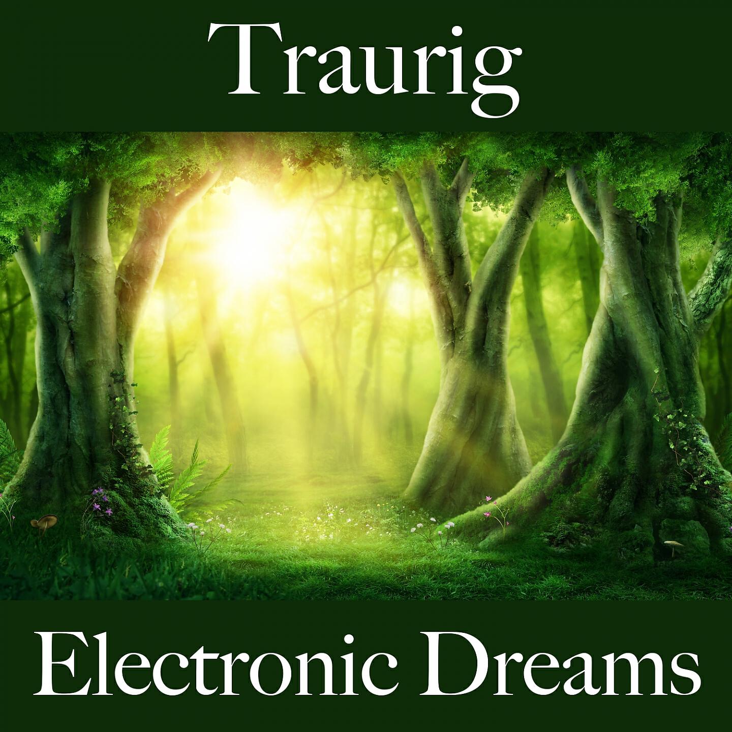 Релиз Traurig: Electronic Dreams - Die Beste Musik Um Sich Besser Zu Fühlen