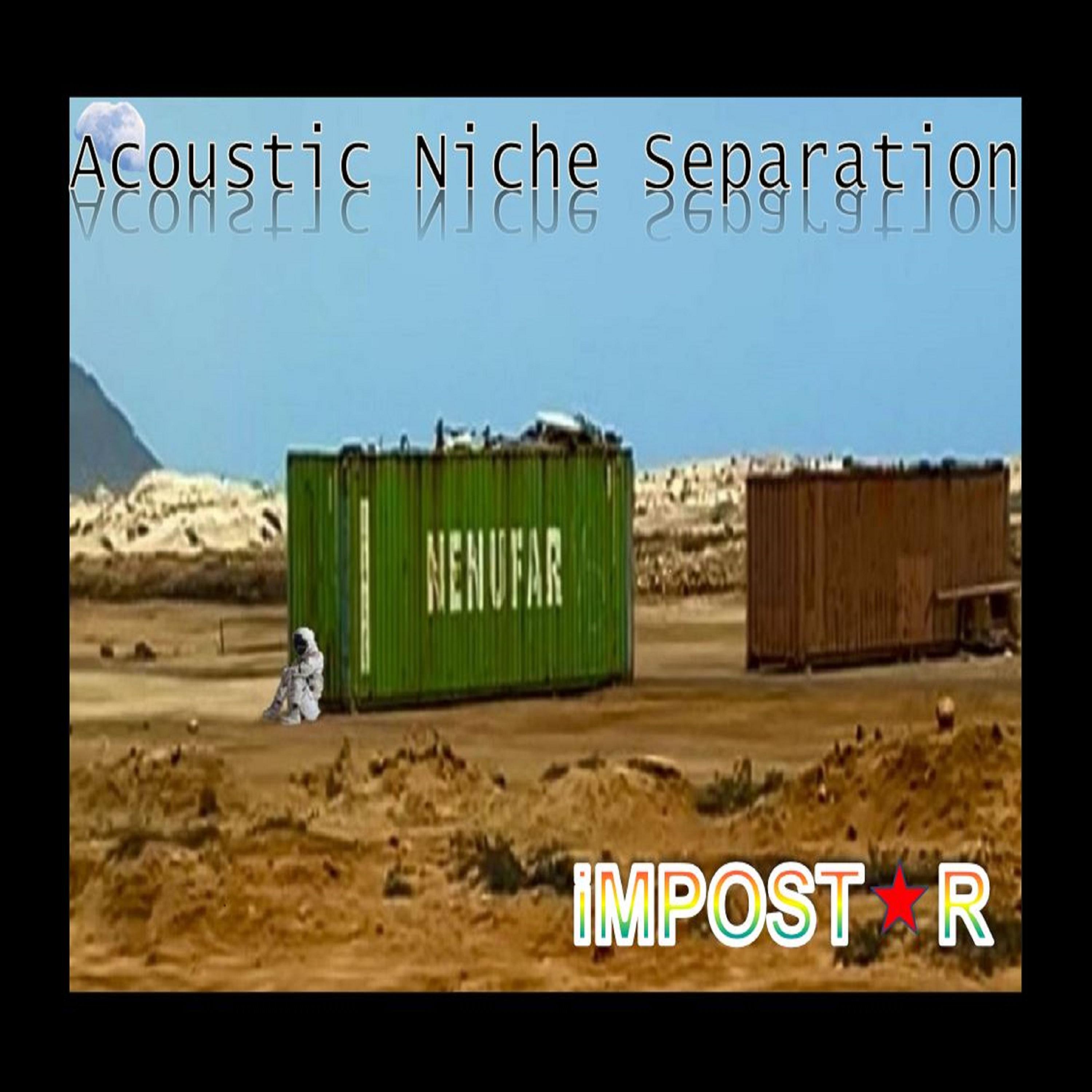 Релиз Acoustic Niche Separation