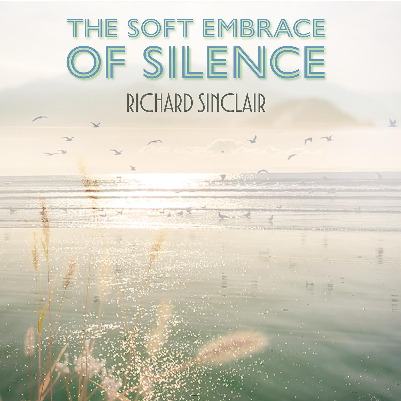 Релиз The Soft Embrace of Silence