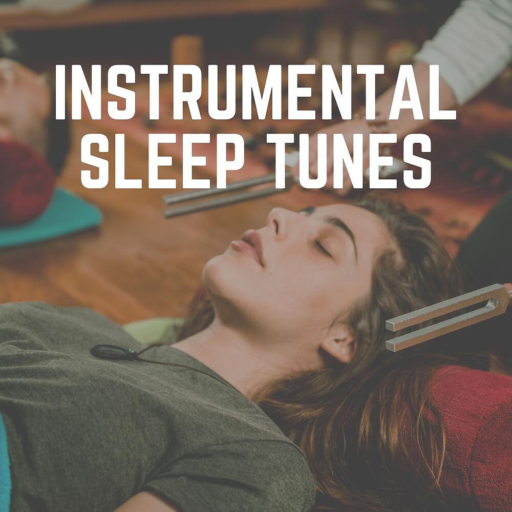 Релиз Instrumental Sleep Tunes