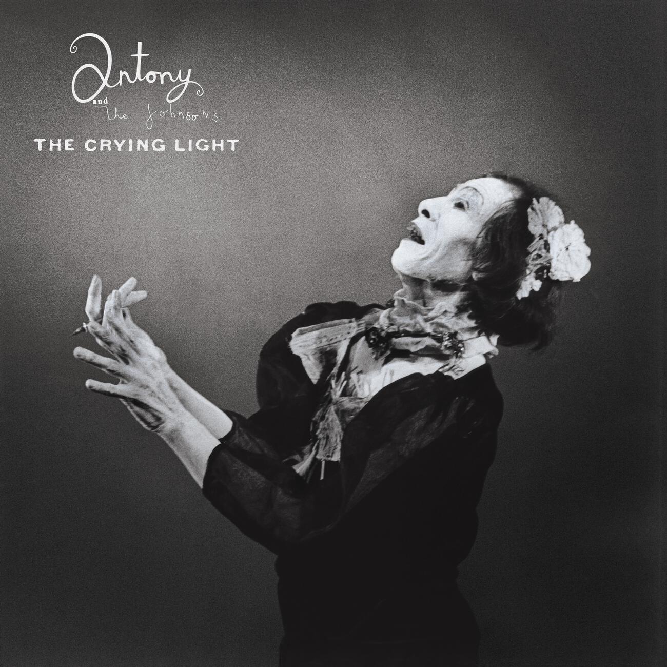 Постер альбома The Crying Light