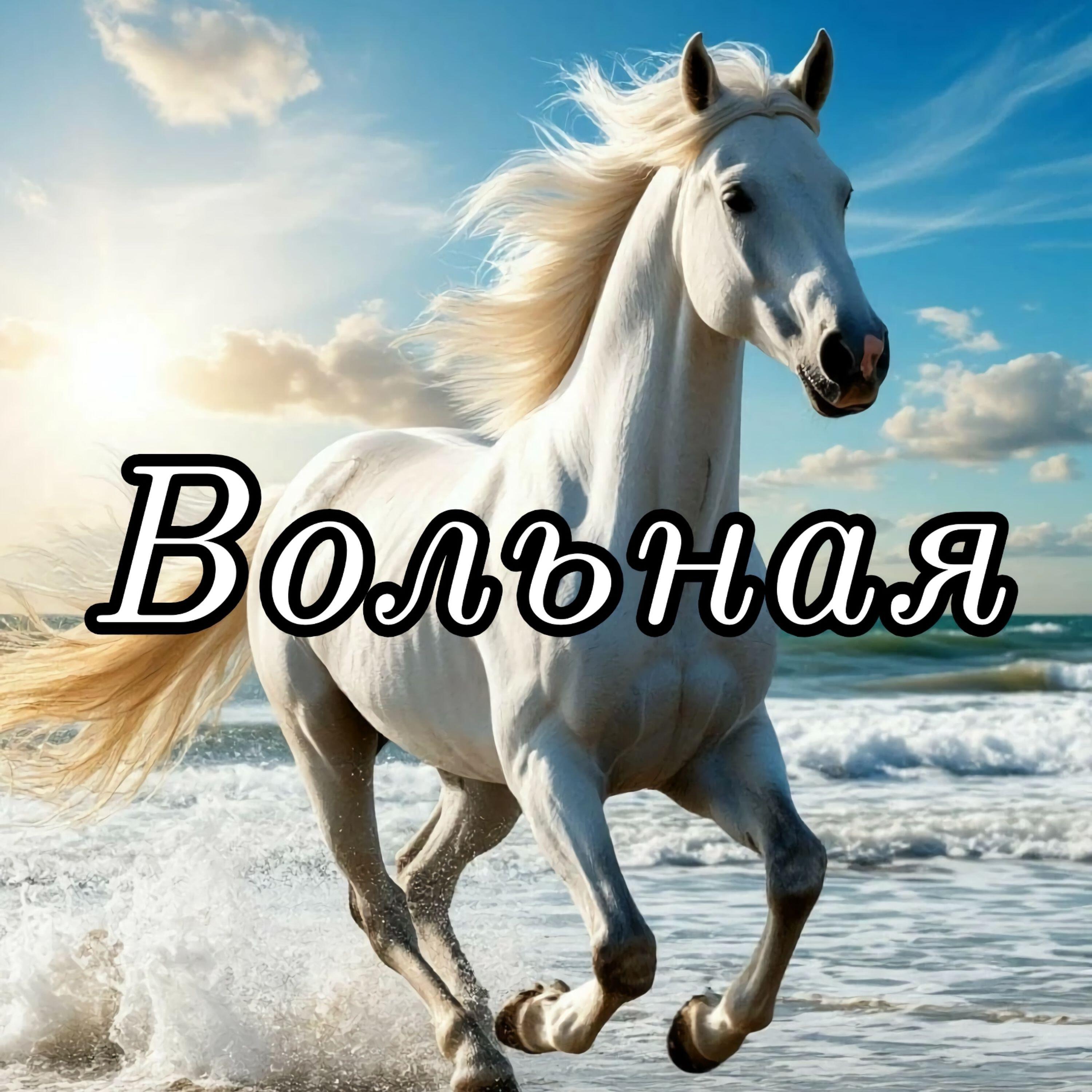 Релиз Вольная