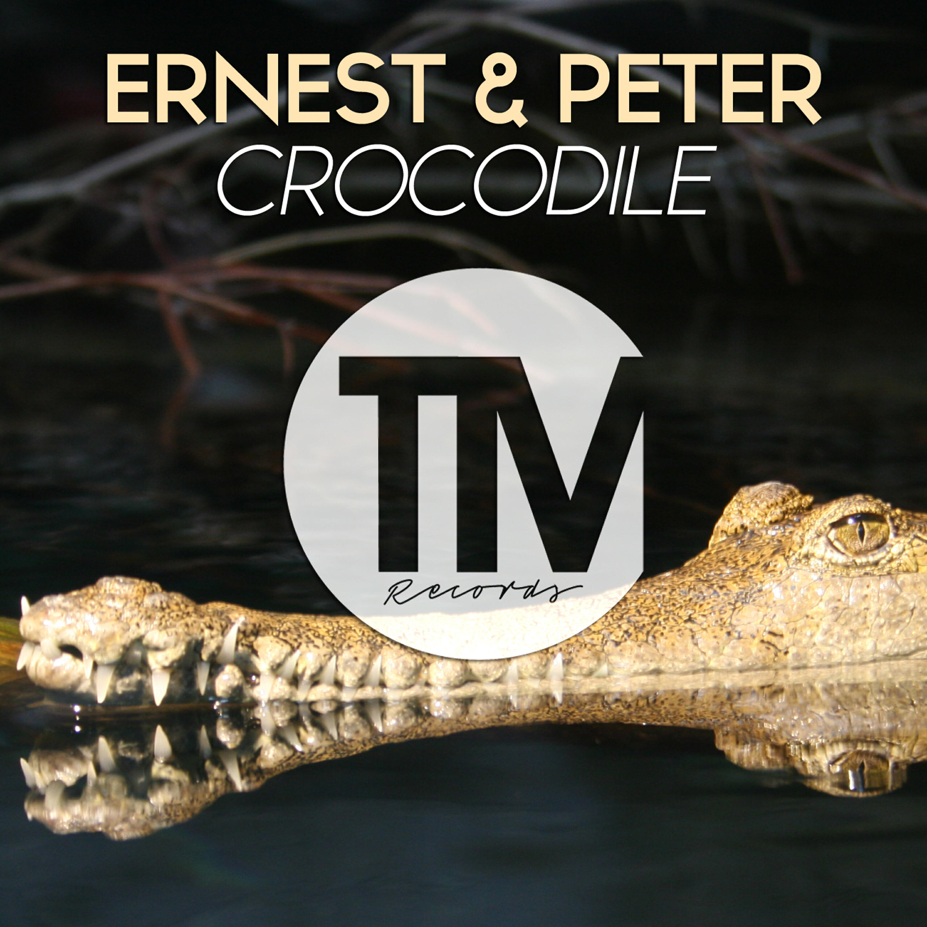 Релиз Crocodile