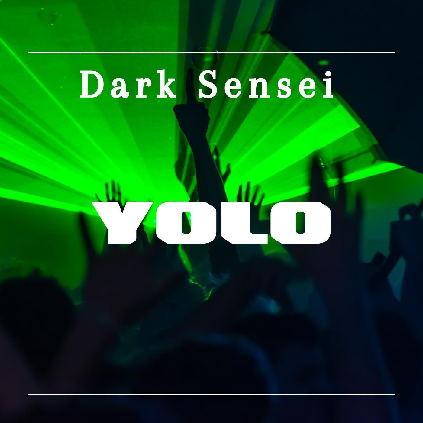 Релиз YOLO