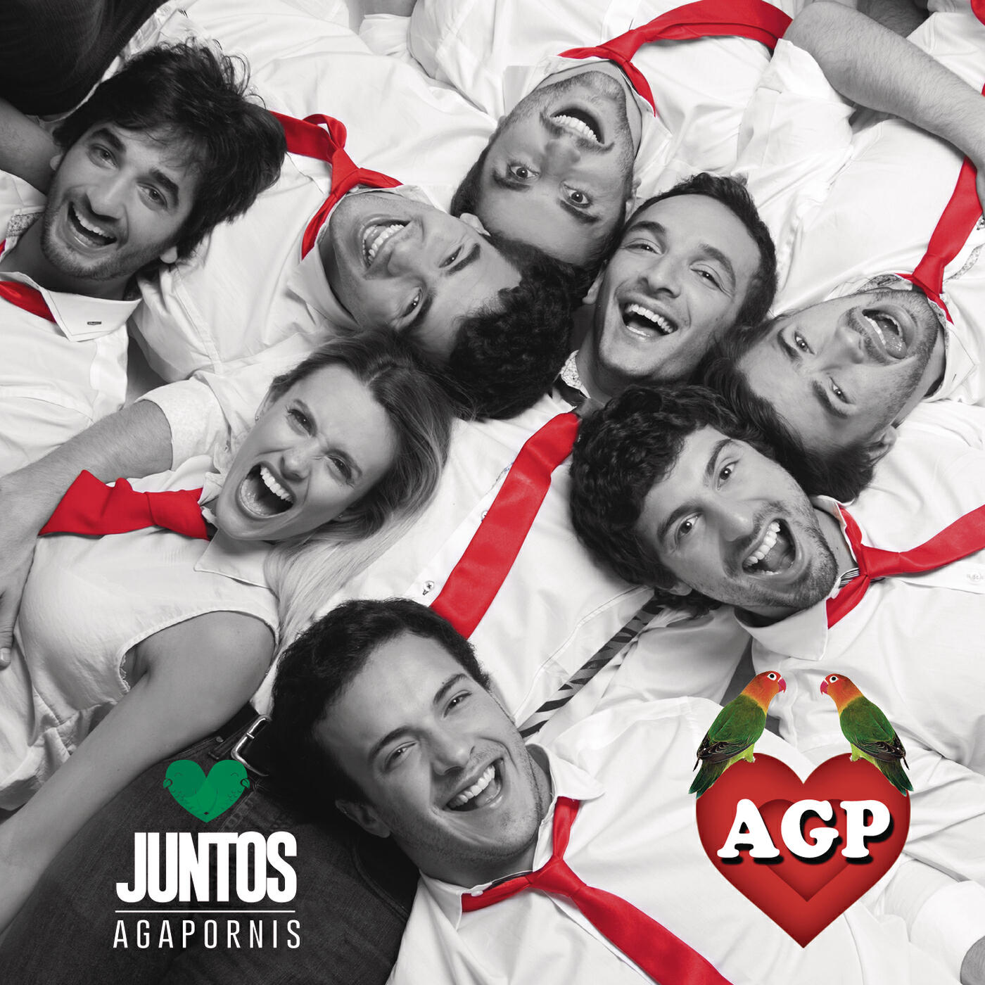 Релиз Juntos