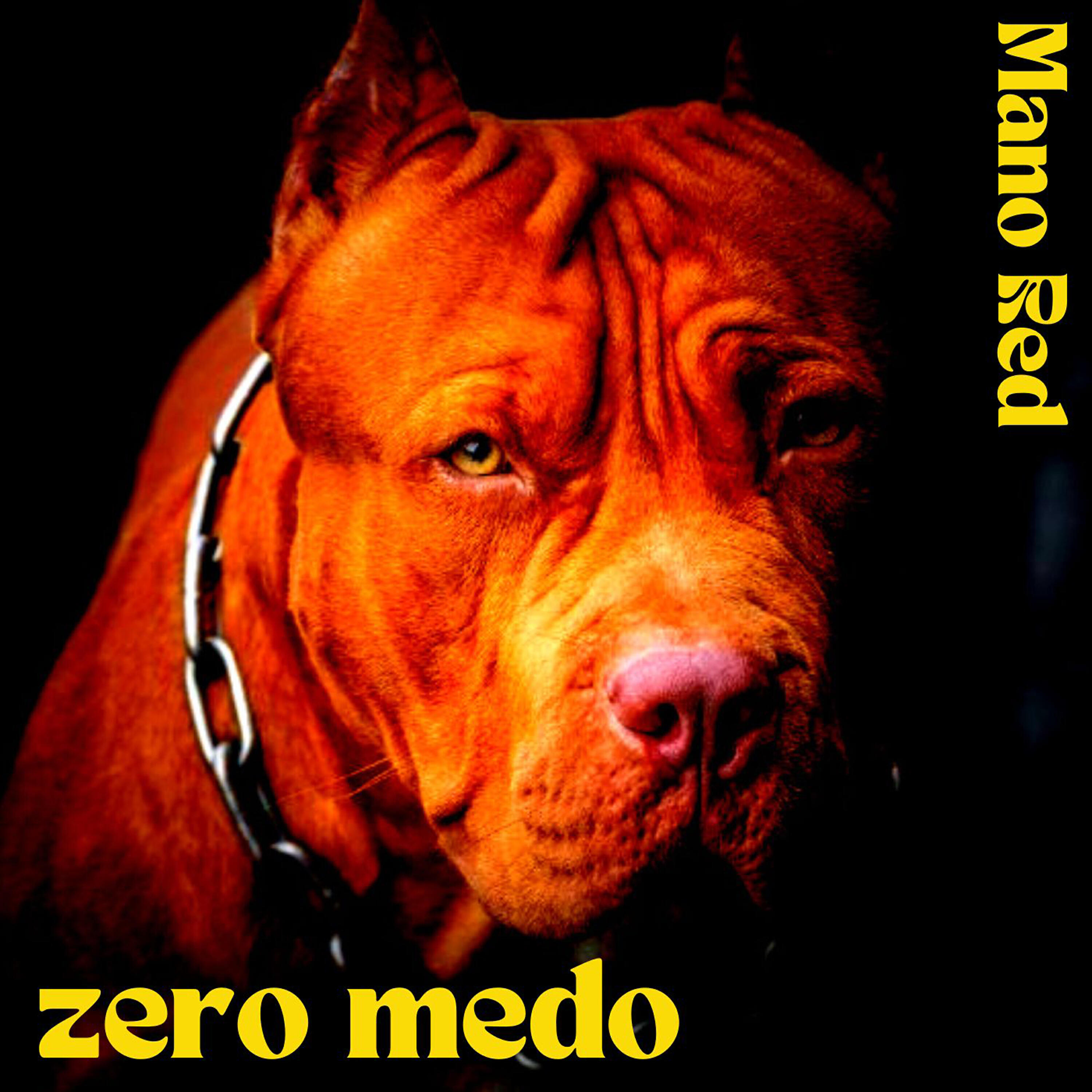 Релиз Zero Medo