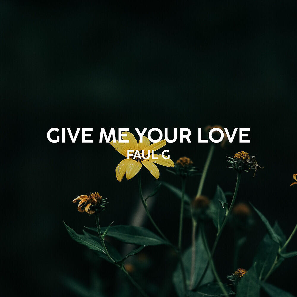 Релиз Give Me Your Love