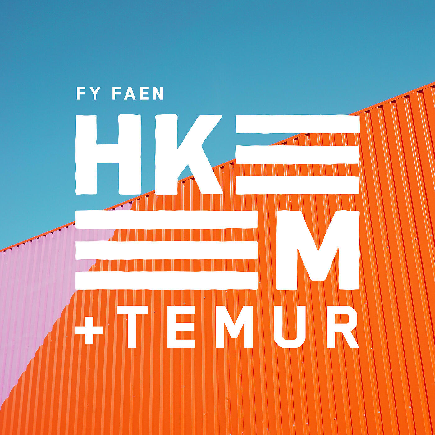 Релиз Fy Faen