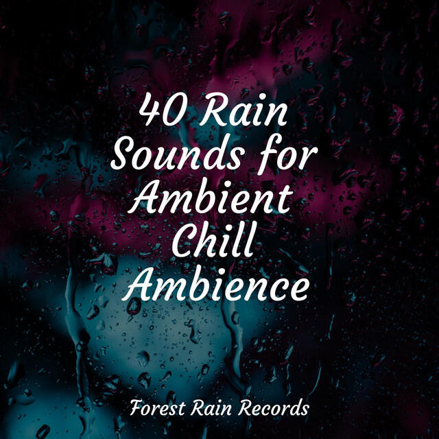 Постер альбома 40 Rain Sounds for Ambient Chill Ambience