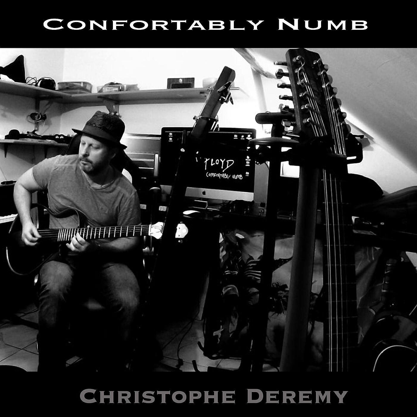 Релиз Comfortably Numb