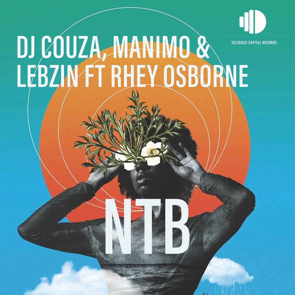 Релиз NTB