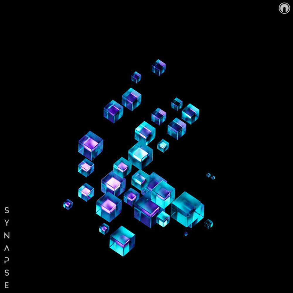 Релиз Synapse