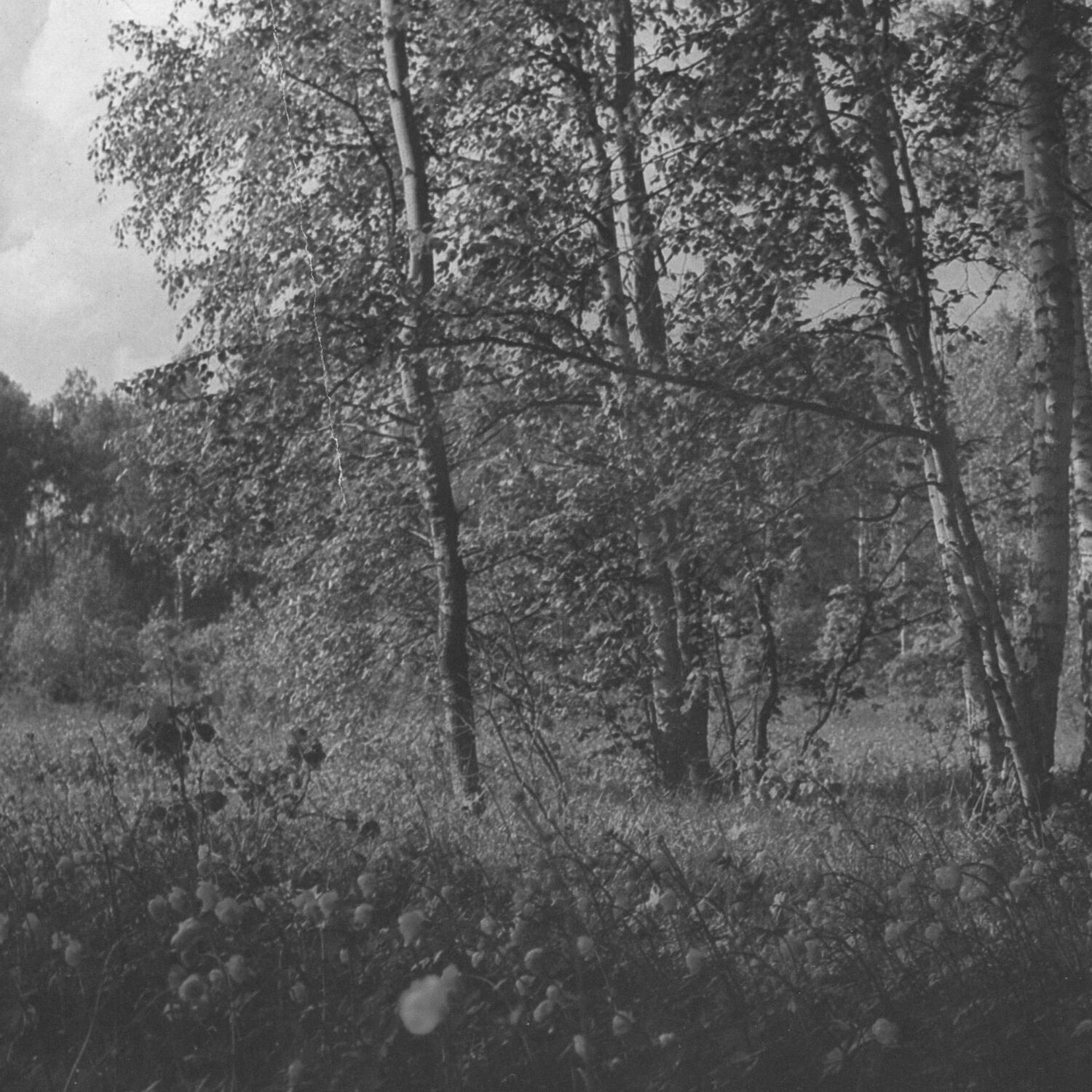 Трек Empty Bed