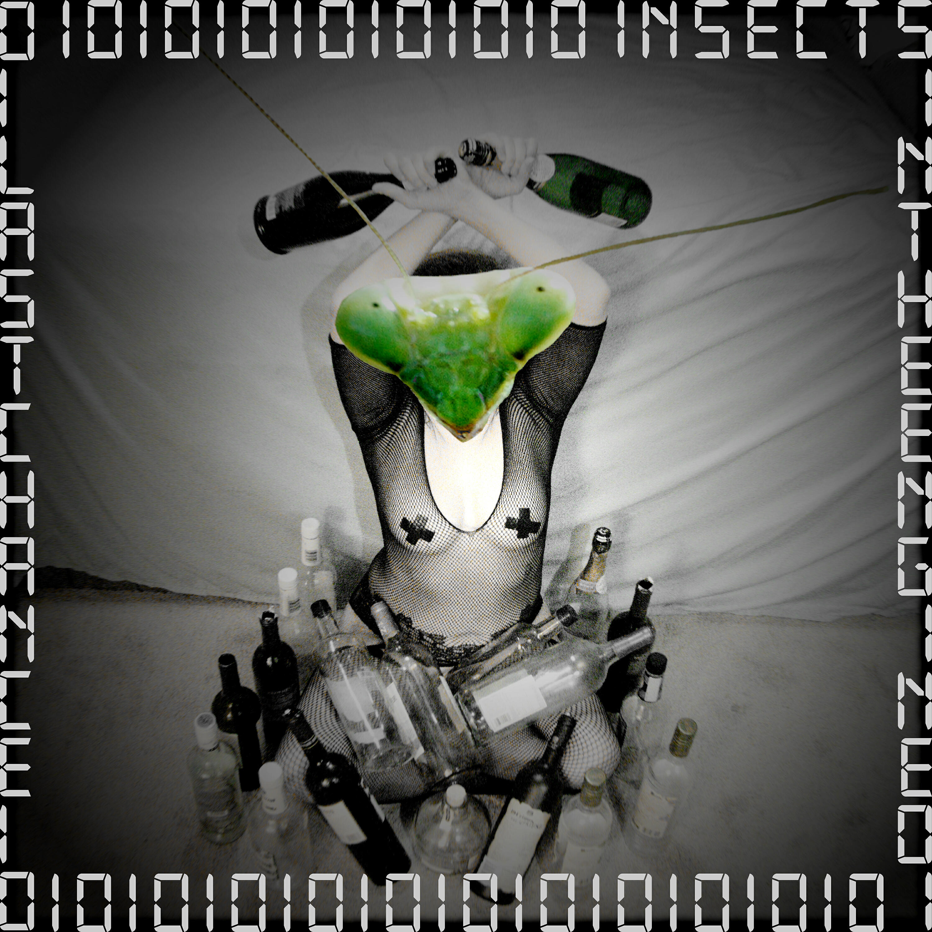 Релиз Insects in the Engine