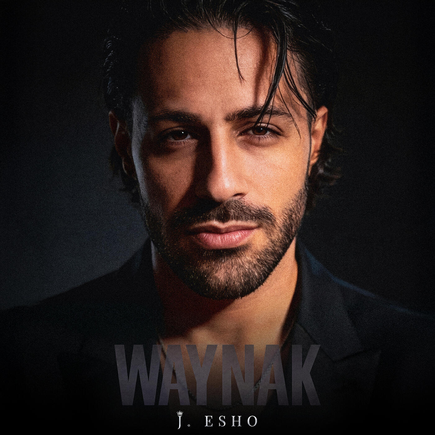 Релиз WAYNAK