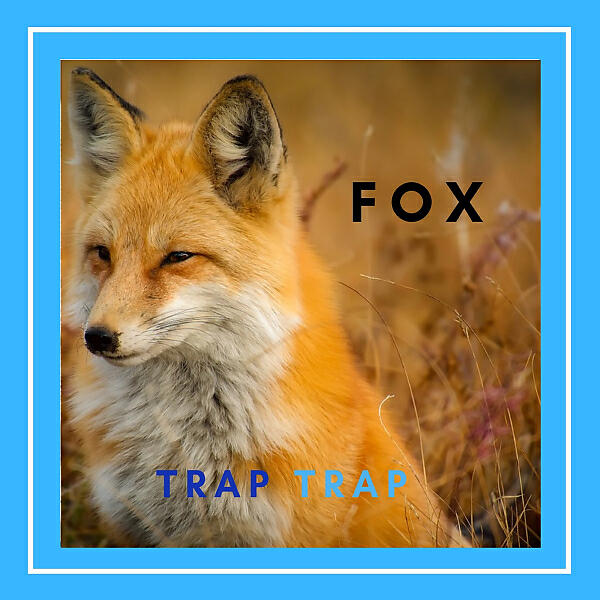Релиз FOX TRAP TRAP